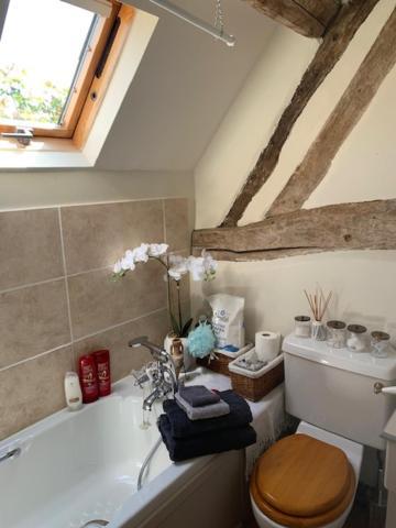 Self Catering In Apartment Market Bosworth